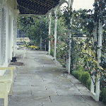 Cover image for Photograph - Ross - 'Somercotes' - exterior -  view of house - underneath the verandah