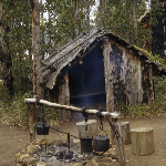 Cover image for Photograph - Risdon - Bowen Monument site - bush hut reconstruction