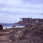 Cover image for Photograph - East Coast - road along the coast near beach and holiday homes