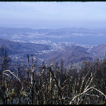 Cover image for 35mm colour transparency - 1967 Hobart Bushfires  -  Mt Wellington - panorama showing extent of fire damage