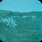 Cover image for Lantern slide - Botanical Gardens, Hobart