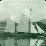 Cover image for Lantern slide - Yachts at the Hobart Wharves