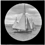 Cover image for Photograph - glass lantern slide - yachts - 'Weene', 'Ozone' and 'Canobie' - photo by Nat Oldham