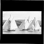 Cover image for Photograph - glass lantern slide - yachts - Hobart Regatta - First Class yachts - 1890's?
