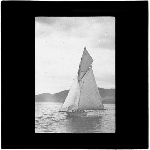 Cover image for Photograph - glass lantern slide - unidentified yacht