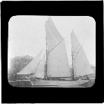 Cover image for Photograph - glass lantern slide - yachts - 'Lily May' - 1889