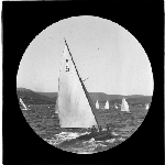 Cover image for Photograph - glass lantern slide - yachts - 'Ozone'
