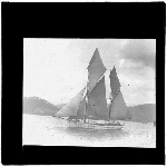 Cover image for Photograph - glass lantern slide - yachts - 'Olive'