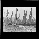 Cover image for Photograph - glass lantern slide - Hobart Regatta - Barge Race - 1925 - photo by Nat Oldham