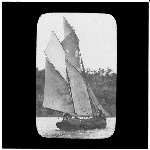 Cover image for Photograph - glass lantern slide - old barge 'Luck's All' - about the last boat to carry "lee boards"