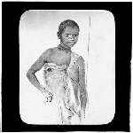 Cover image for Photograph - glass lantern slide - copy of illustration of Tasmanian Aboriginal male - "Jimmy, native of Hampshire Hills, VDL" - J.W. Beattie, Hobart