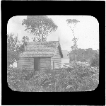 Cover image for Photograph - glass lantern slide - Sexton's House, Dead Island, Port Arthur - J.W. Beattie, Hobart - Tasmanian Series No. 329B