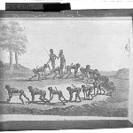Cover image for Photograph - glass lantern slide - copy of illustration of group of unidentified Tasmanian Aboriginal people on a beach