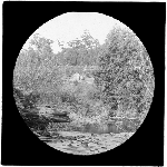 Cover image for Photograph - glass lantern slide - Unidentified scene of distanct view of settlers hut in the bush
