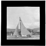Cover image for Photograph - glass lantern slide - yachts - 'Grayling' - photo by Nat Oldham