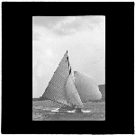 Cover image for Photograph - glass lantern slide - yachts - 'Tassie' - photo by Nat Oldham