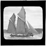 Cover image for Photograph - glass lantern slide - yachts - 'Spray' - built at Birch's Bay 1905 - still trading 1934 - photo by Nat Oldham