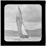Cover image for Photograph - glass lantern slide - yachts - 'Fernwerite' ?- ( or 'Jeanerite' ?) built at Hobart 1852 - condemned 1934 - photo by Nat Oldham (Eccles & Oldham)