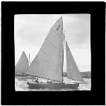 Cover image for Photograph - glass lantern slide - yachts - 'Tassie' - 22 October 1928 - photo by Nat Oldham