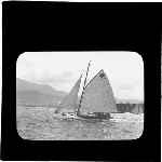Cover image for Photograph - glass lantern slide - unidentified yacht - photo by Williamson - slide by Nat Oldham