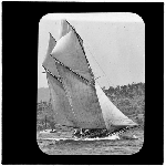 Cover image for Photograph - glass lantern slide - yachts - 'Foam' - previously 'Teddy Watt' - 15 tons - built 1874 - burnt near Carlton - photo by Nat Oldham