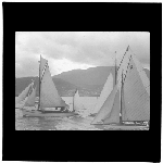 Cover image for Photograph - glass lantern slide - yachts - Bellerive Regatta - 'Mariner' - photo by Nat Oldham