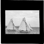 Cover image for Photograph - glass lantern slide - yachts - 'Grayling', 'Canobie' and 'Weene' - photo by Nat Oldham
