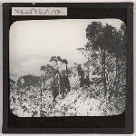 Cover image for Photograph - Group of cross-country skiers on mountain / Fred Smithies [lantern slide]