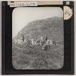 Cover image for Photograph - Group of bush walkers  in summer sitting on mountain side / Fred Smithies [lantern slide]