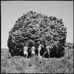 Cover image for Photograph - 73/28 -    Mrs. John Fowler, Betty Ellis & Mrs. Judy Bignell near skittleball on Skittleball Plains, Great Lake
