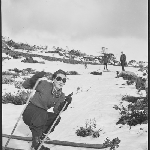 Cover image for Photograph - On Mt Wellington - Cecilie skiing