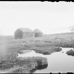 Cover image for Photograph - Richmond and Sorell [Glass negative] [Haystacks]