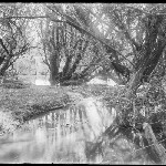 Cover image for Photograph - Richmond and Sorell [Glass negative] [Coal River Richmond]