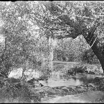 Cover image for Photograph - Richmond and Sorell [Glass negative] [Coal River Richmond]