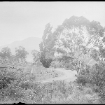 Cover image for Photograph - Glass negative - Mt Wellington [man in fenced paddock beside road]