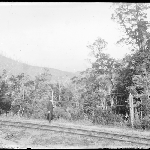 Cover image for Photograph - Glass negative - Walking [Man walking beside railway track]