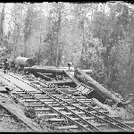 Cover image for Photograph - Glass negative - Timber harvesting [men and logs beside railway]