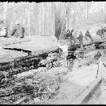 Cover image for Photograph - Glass negative - Timber harvesting [men sitting on loaded logs]