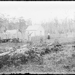 Cover image for Photograph - Glass negative - Farm [woman standing at fence outside small house and shed]