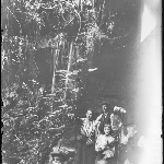 Cover image for Photograph - Glass negative - Adventure Bay -[Family group near waterfall - Mavista Falls?]