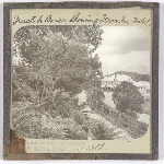 Cover image for Photograph - Glass slide - Ferntree Hotel / J W Beattie Tasmanian Series 413a