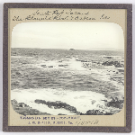 Cover image for Photograph - Glass slide - South Port Island, Acteon Island / J W Beattie Tasmanian Series 488b