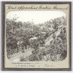 Cover image for Photograph - Glass slide - Paradise, Prosser's River / J W Beattie Tasmanian Series 760a