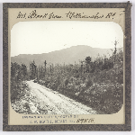 Cover image for Photograph - Glass slide - Mt Black from Williamsford Road / J W Beattie Tasmanian Series 898b