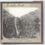 Cover image for Photograph - Glass slide - Sandfly Fall / J W Beattie Tasmanian Series 1015a