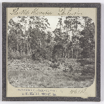 Cover image for Photograph - Glass slide - Old Reservoir, Darlington / J W Beattie Tasmanian Series 1061b