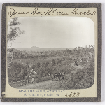 Cover image for Photograph - Glass slide - Spriced Bay Road near Buckland / J W Beattie Tasmanian Series 1062b