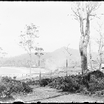 Cover image for Photograph - Glass negative - Adventure Bay - [View of beach and jetty.  Mt Mangana? In background]