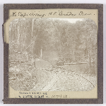 Cover image for Photograph - Glass slide - NE Dundas Railway / J W Beattie Tasmanian Series 1079a