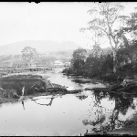 Cover image for Photograph - Glass negative - River - [Browns River Kingston? Looking towards Mt Wellington]